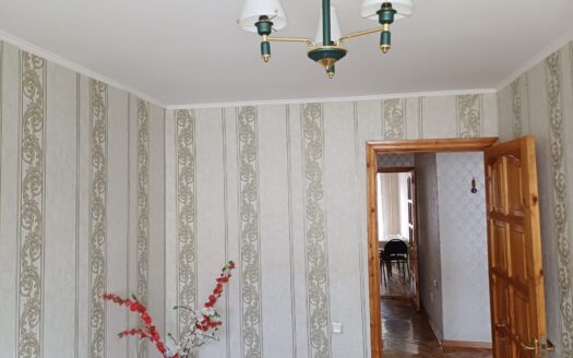 3-х комнатная Ауэзова 238,3/5-18500000 торг