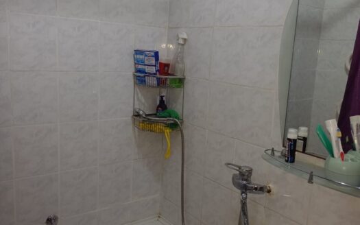 3-х комнатная Ауэзова 238,3/5-18500000 торг