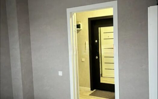 Евро 2ка Габдуллина 43, 4/4 эт, 50 квм, 2021гп, -21000000 т