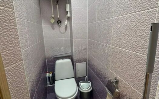 3-комнатная Центральный 47; 1/5 этаж; 61.7 кв м; 1990 года; кирпич- Цена 17500000