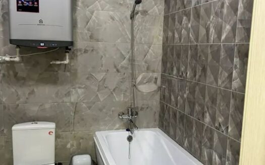 2 к кв. Евродвушка Абылай хана 1/3,1/9 этаж ,46 кв.м, 2020 г-21500000