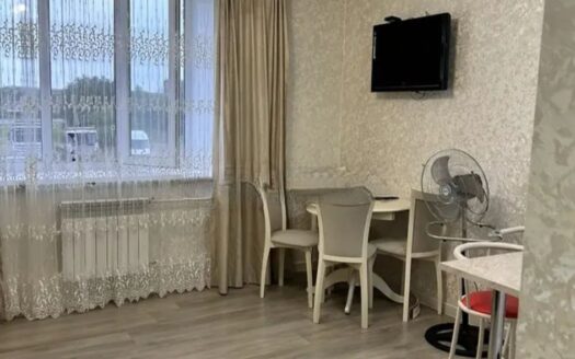 2 к кв. Евродвушка Абылай хана 1/3,1/9 этаж ,46 кв.м, 2020 г-21500000