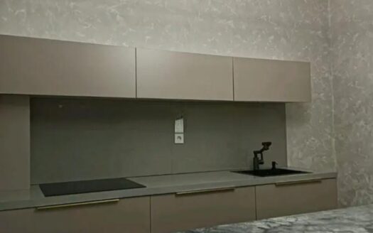 1-ком Садуакасова 11 1/5, 2025 г, 40,8 кв м, 21100000