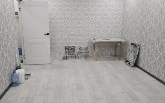 1к. Центральный 24В. 44квм, 2/5, 2022гп-17600000