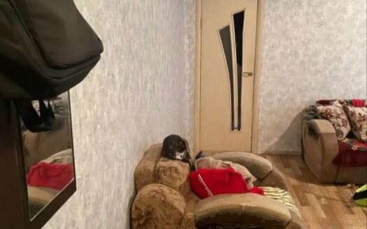 2к. Сулейменова 16. 1/3, 43квм, 1962гп- 7400000 т